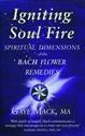 Picture of Igniting Soul Fire