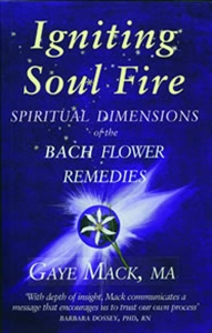 Picture of Igniting Soul Fire