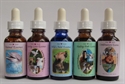Picture of 30ml stock bottle