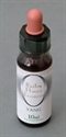 Picture of Yang - 10ml stock bottle