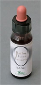 Picture of Yang - 10ml stock bottle