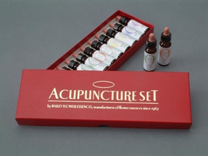 Picture of Bailey Acupuncture Kit